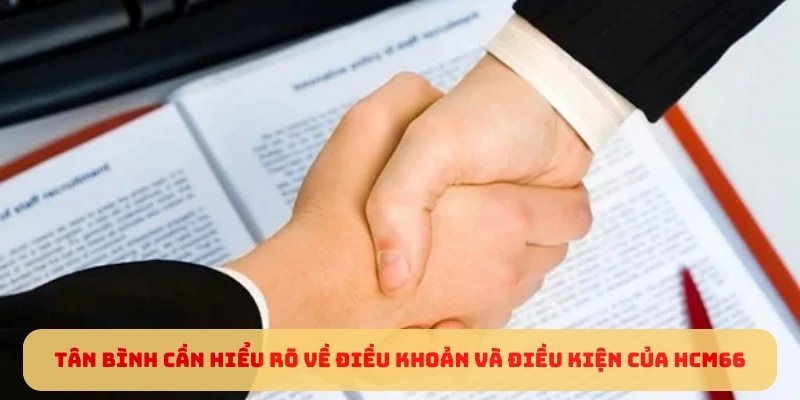 Tân bình cần hiểu rõ về điều khoản và điều kiện của HCM66